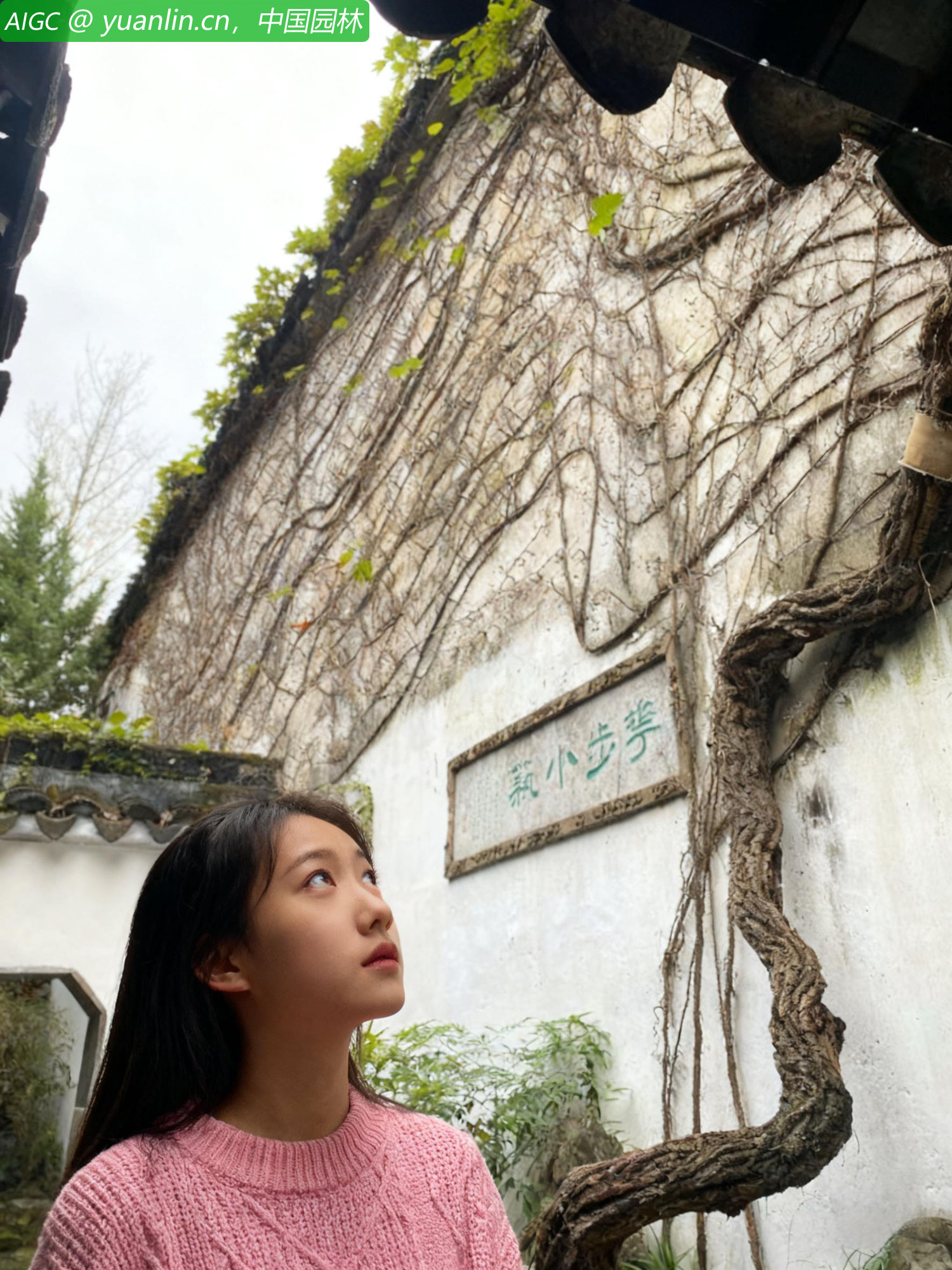 yuanlin20251031.jpg yuanlin20251031.jpg