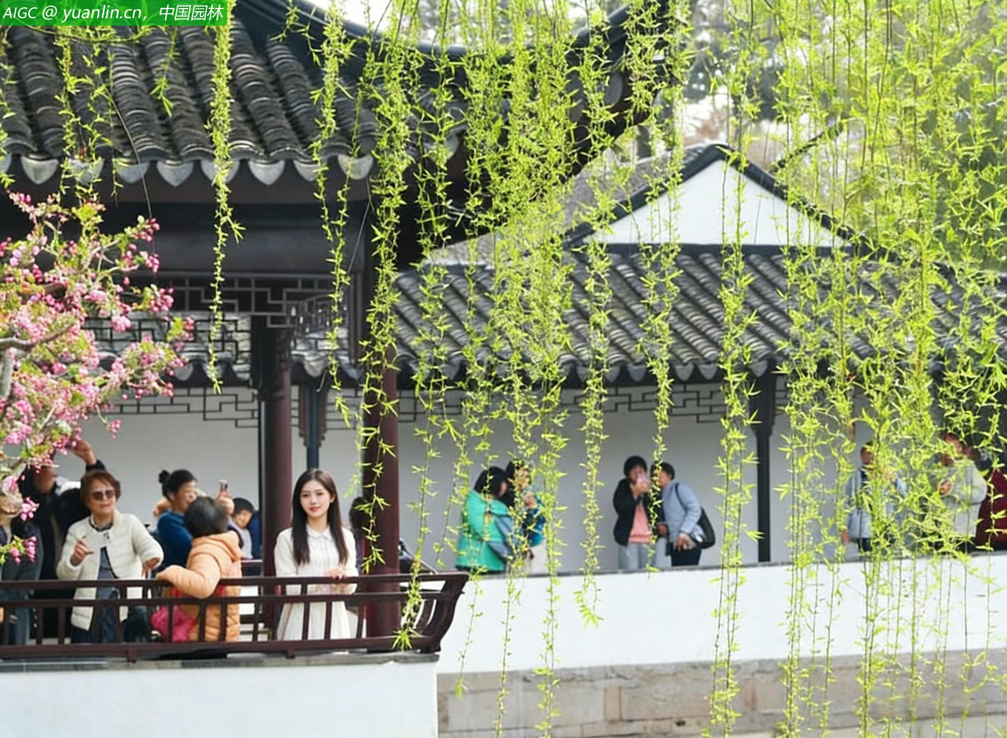 江苏苏州的古典园林拙政园内花红柳绿