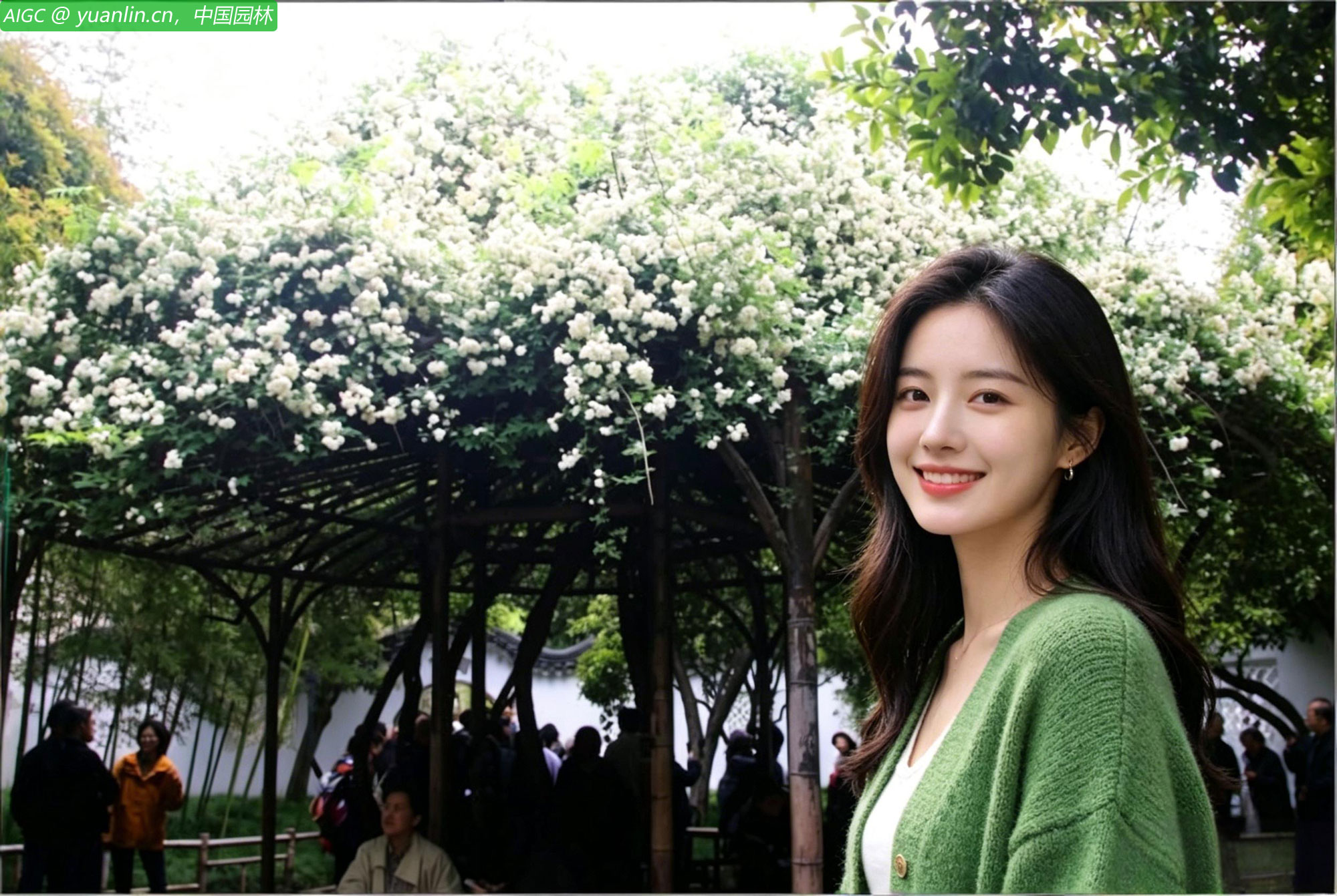 苏州拙政园内一株树龄约130年的白木香绽放，清香四溢