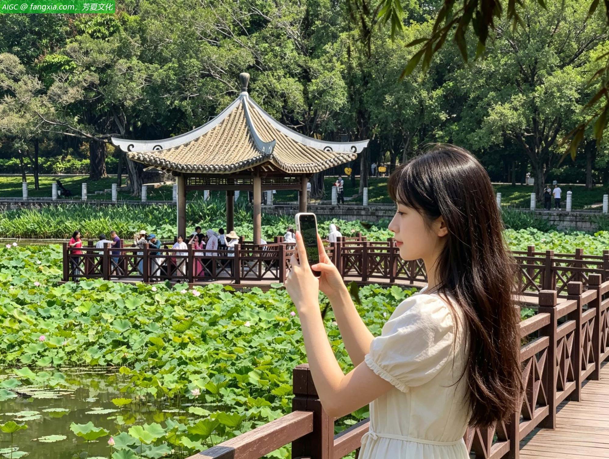 广西南宁市南湖公园的荷花次第绽放，荷香四溢